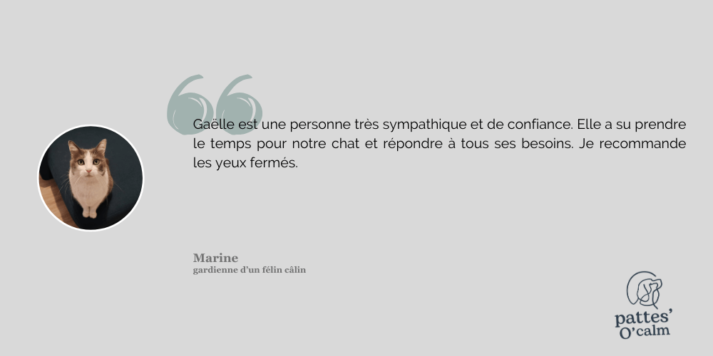 Avis Pattes'O'Calm