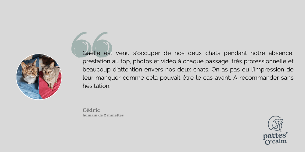 Avis Pattes'O'Calm